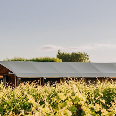 Villas & Vines Glamping 哈士汀 外观 照片