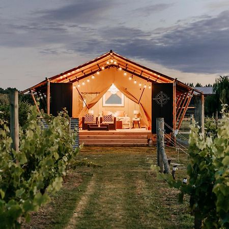 Villas & Vines Glamping 哈士汀 外观 照片