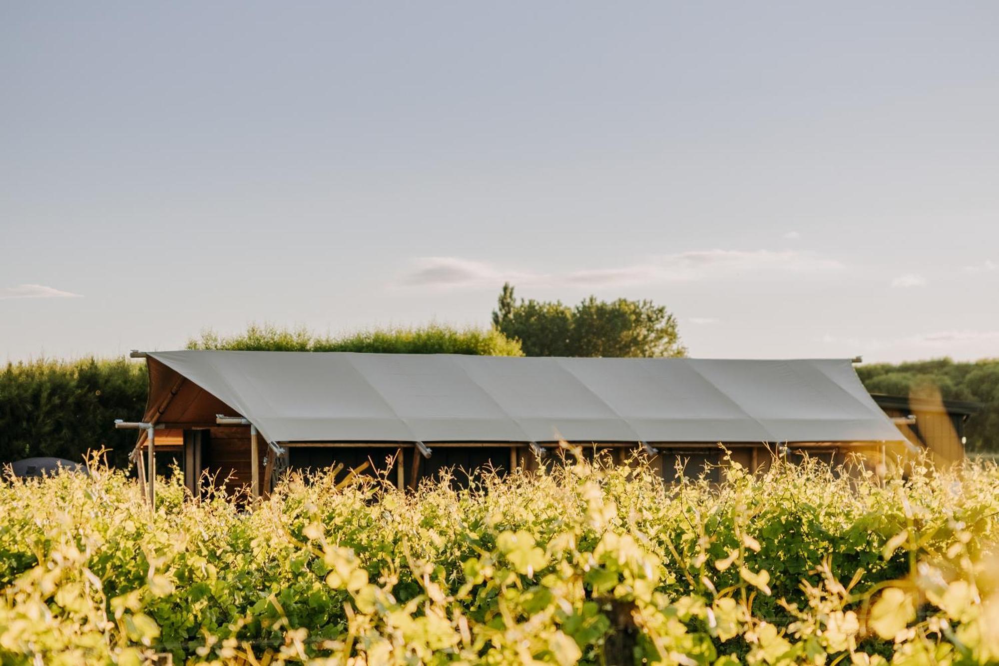 Villas & Vines Glamping 哈士汀 外观 照片
