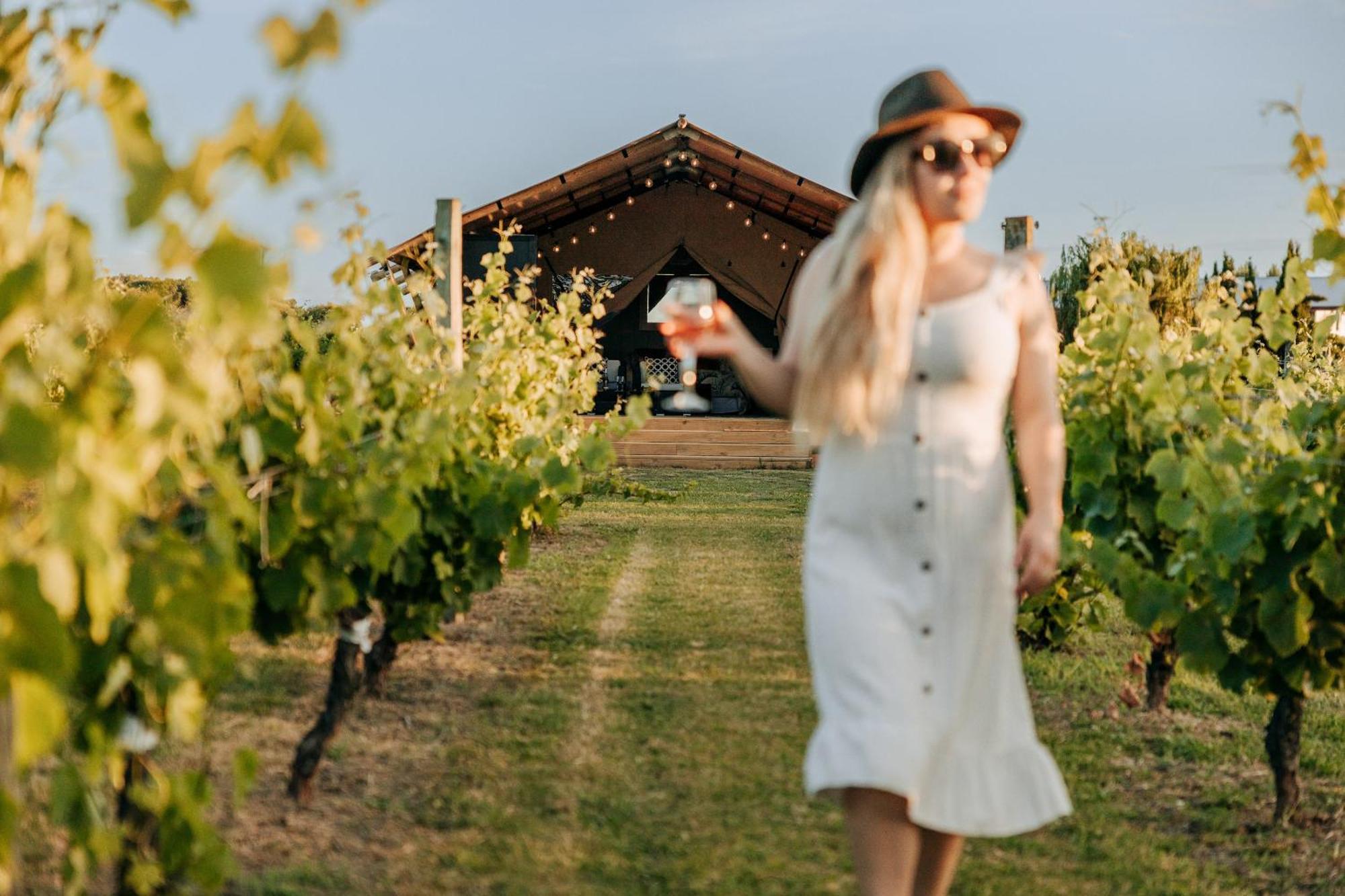 Villas & Vines Glamping 哈士汀 外观 照片