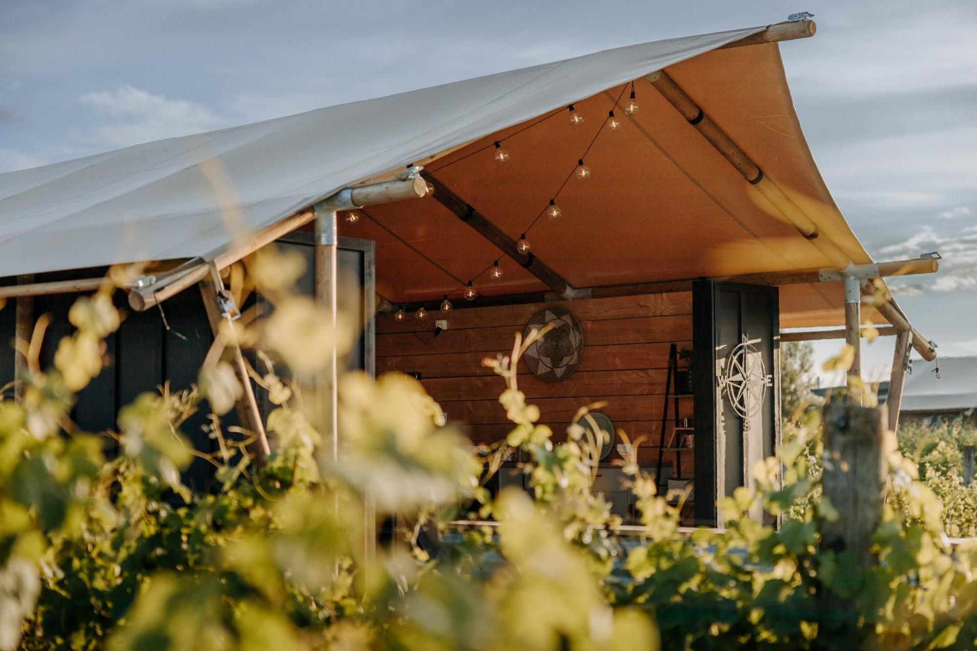 Villas & Vines Glamping 哈士汀 外观 照片