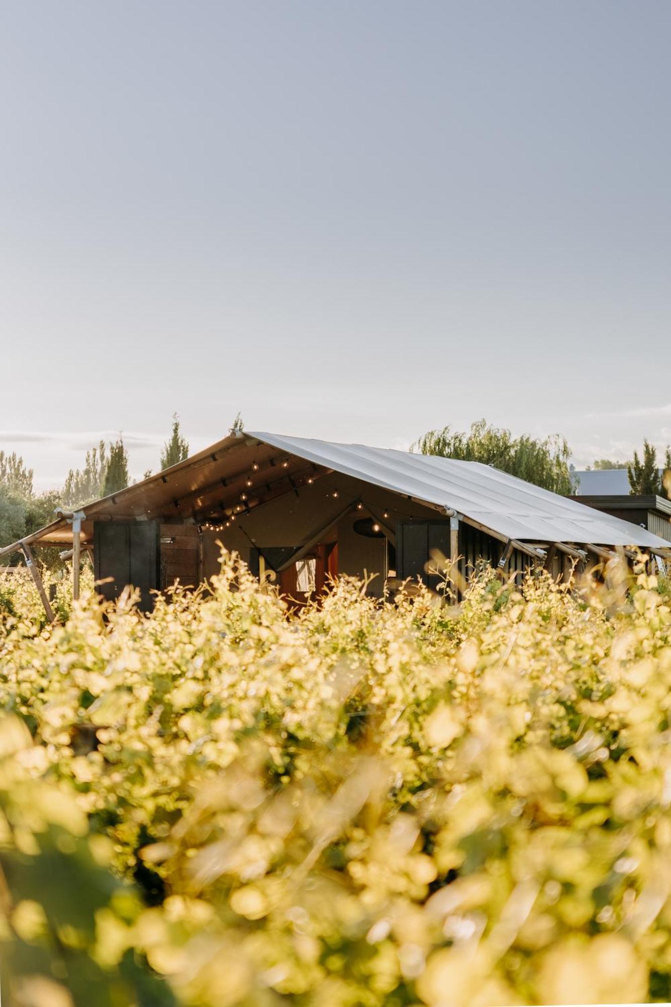 Villas & Vines Glamping 哈士汀 外观 照片