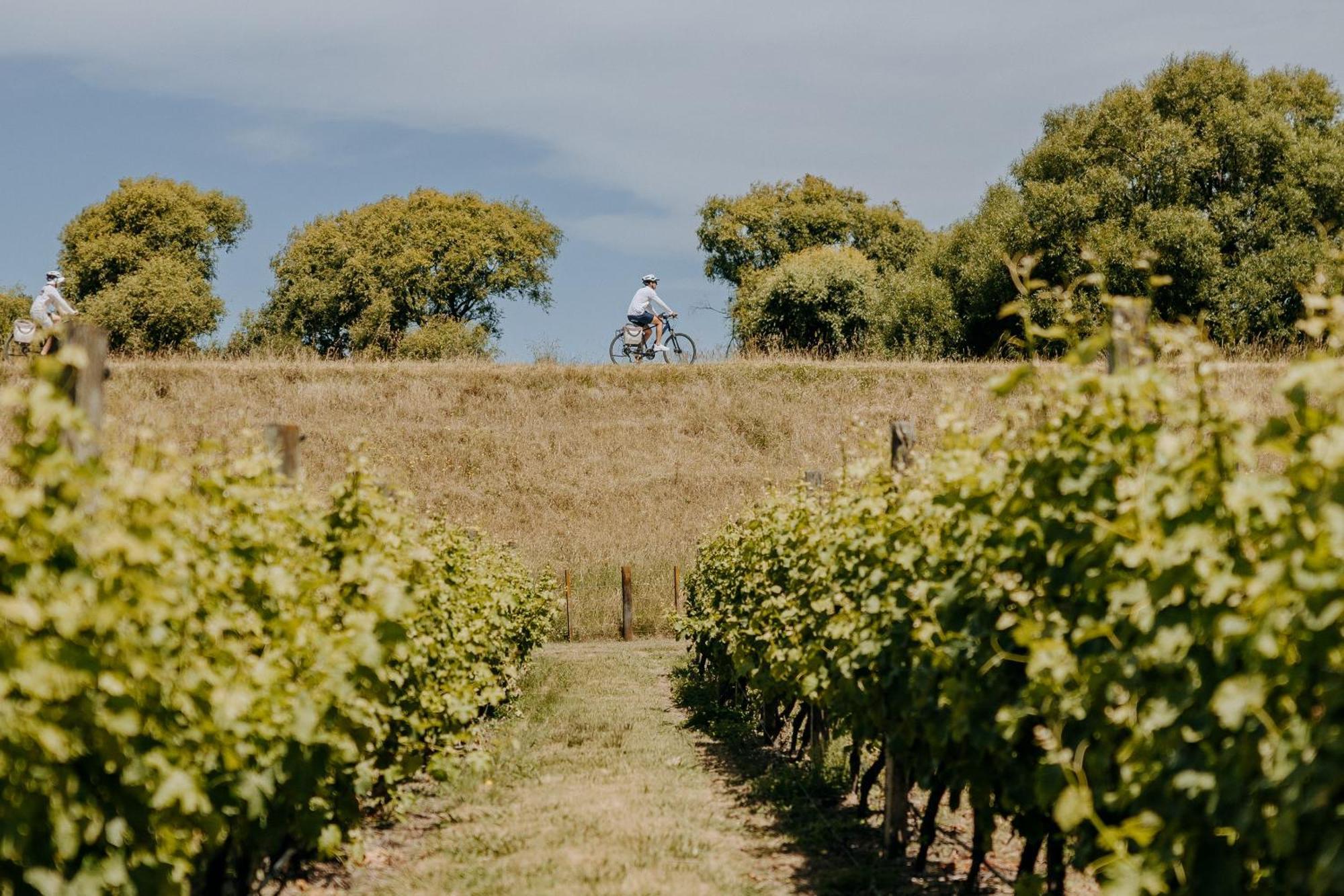 Villas & Vines Glamping 哈士汀 外观 照片