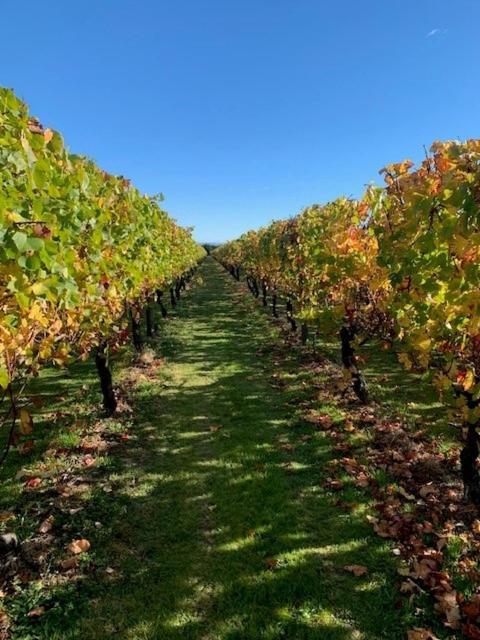 Villas & Vines Glamping 哈士汀 外观 照片